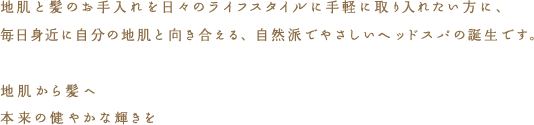 *サロンスタイルは、適度な水分・油分に満たされて、毛穴が透けて見えるように青みを帯びた青白い地肌を、理想的な地肌と考えます。