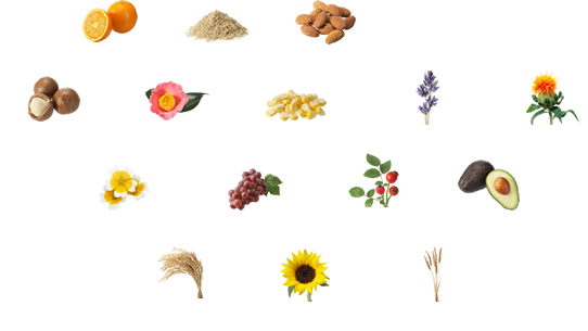 15種のピュアオイル