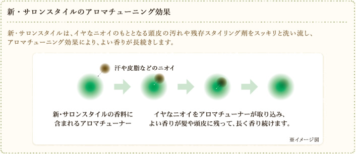 新・サロンスタイルのアロマチューニング効果　新・サロンスタイルは、イヤなニオイのもととなる頭皮の汚れや残存スタイリング剤をスッキリと洗い流し、アロマチューニング効果により、よい香りが長続きします。