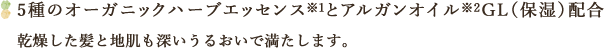 5種のオーガニックハーブエッセンス※1とアルガンオイル※2GL（保湿）配合　乾燥した髪と地肌も深いうるおいで満たします。