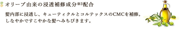 オリーブ由来の浸透補修成分※3配合　髪内部に浸透し、キューティクルとコルテックスのCMCを補修。しなやかですこやかな髪へみちびきます。