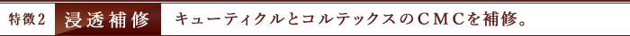 特徴2　浸透補修　キューティクルとコルテックスのＣＭＣを補修。